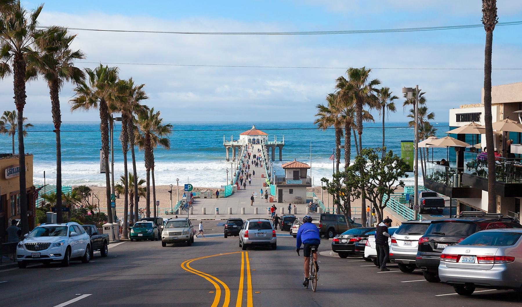 a road with cars and palm trees by a body of water