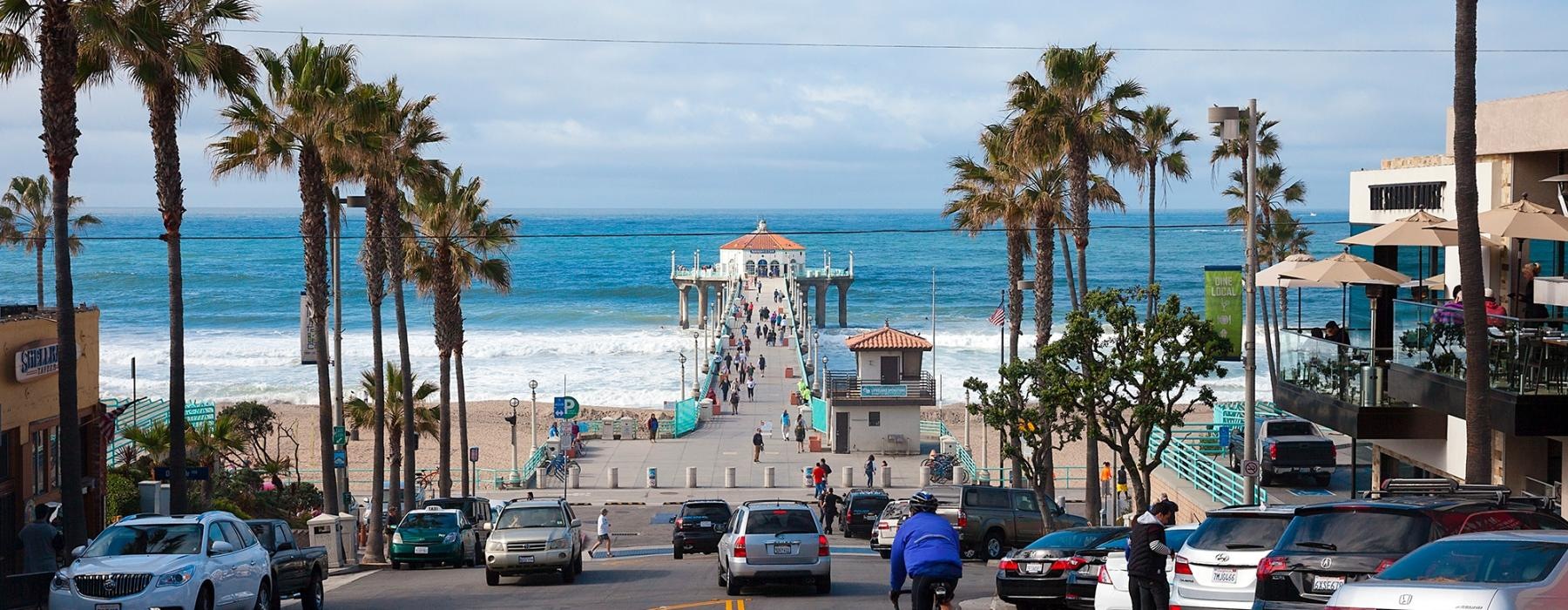 a road with cars and palm trees by a body of water